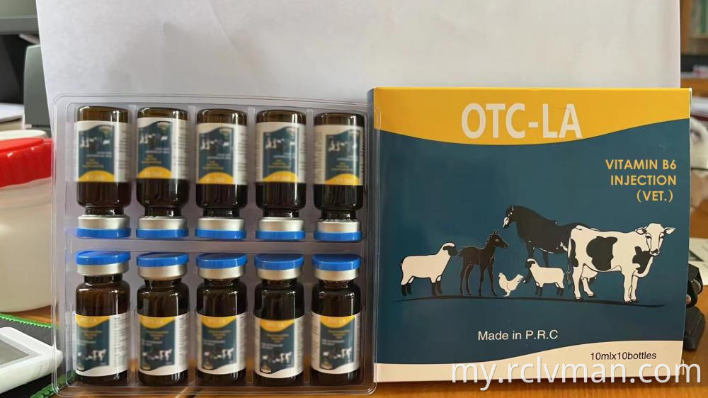 ဗီတာမင် B6 ထိုး 2 Vitamin B6 Injection 2